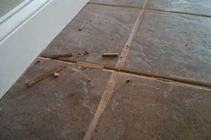 Crumbling Grout Tile Floor